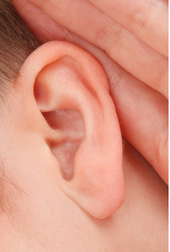 Schwindelerkrankungen und Hörsturz